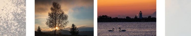 Lansare carte Pr. Constantin Necula și Gabriel Dumbravă