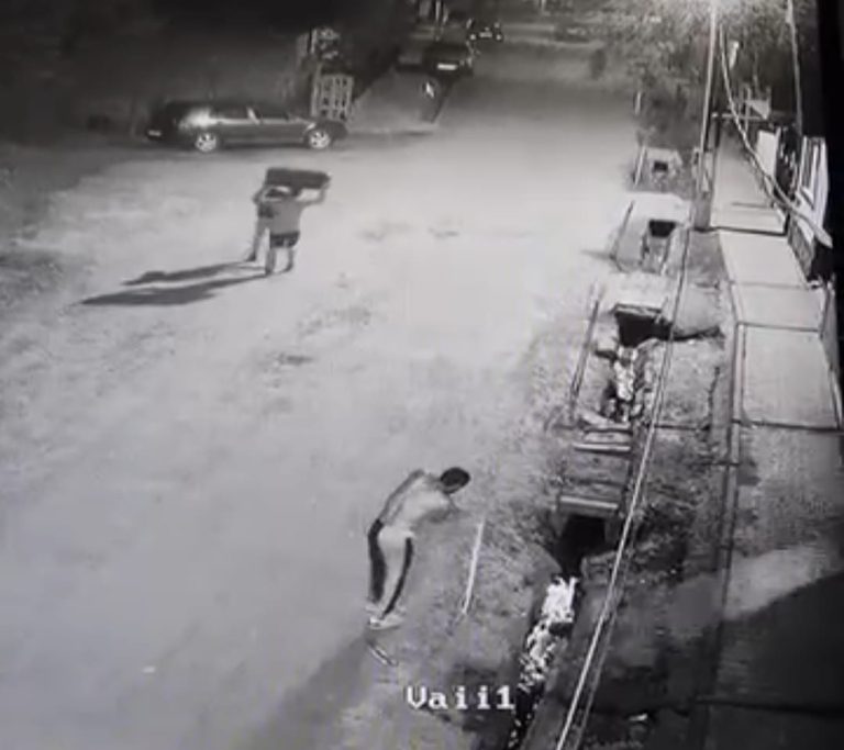 FOTO/VIDEO: Se întâmplă în Târnava. Un bărbat surprins în timp ce distruge arbori ornamentali