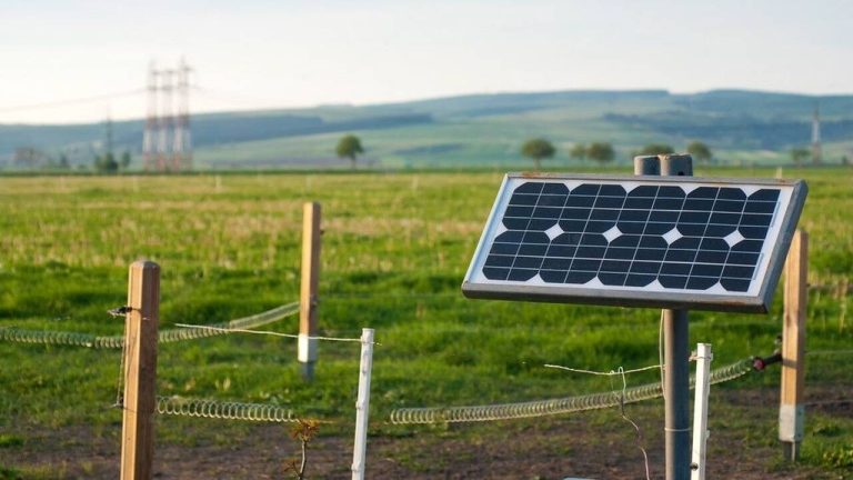 Vești excelente pentru Micăsasa: 6 dosare aprobate pentru achiziționarea de garduri electrice pentru protecția împotriva animalelor sălbatice