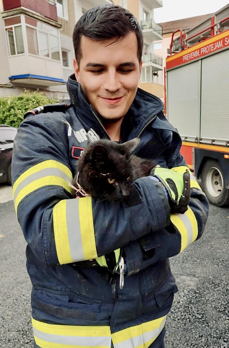 FOTO: Pisicuță salvată dintr-un canal. Pompierii din Mediaș îi caută stăpânul