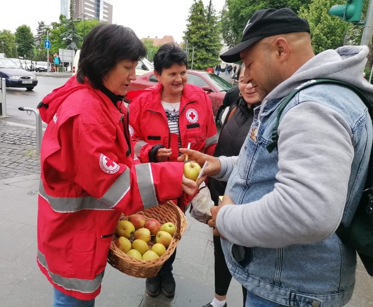 FOTO: 50 de kilograme de mere au fost oferite sibienilor. Care a fost condiția pentru a le primi