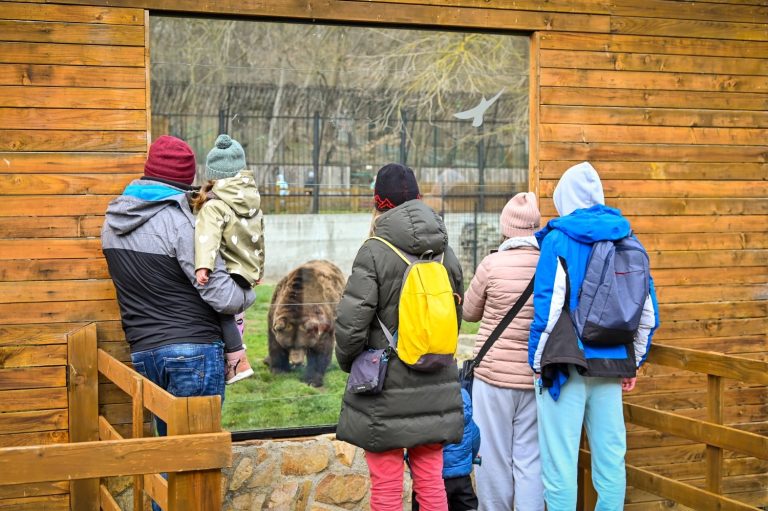 Copiii au intrare gratuită la Zoo Sibiu de 1 iunie