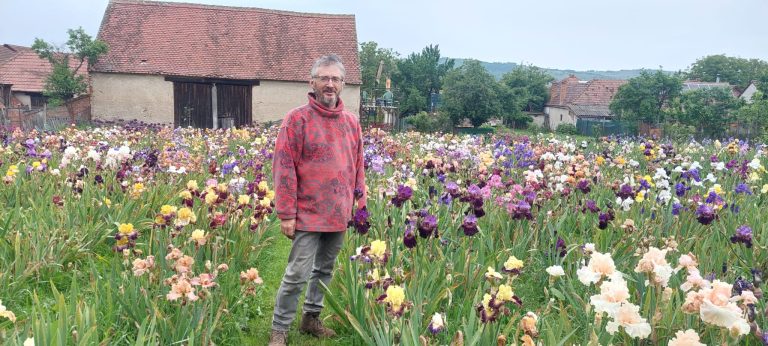 Tudor Porumb, „soldatul roman” care crește iriși