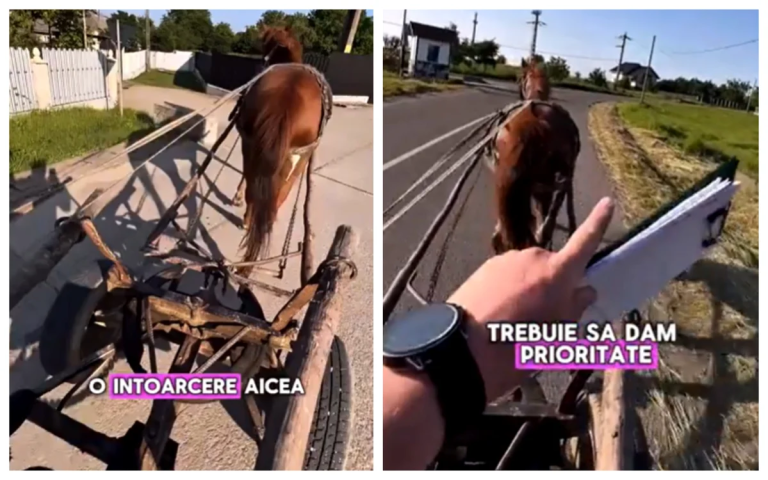 FOTO/VIDEO: Un instructor auto a predat o oră de condus într-o căruță