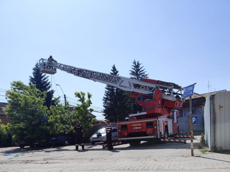 ULTIMA ORĂ/FOTO: Copac căzut peste un autoturism, în Mediaș, după vijelia de miercuri
