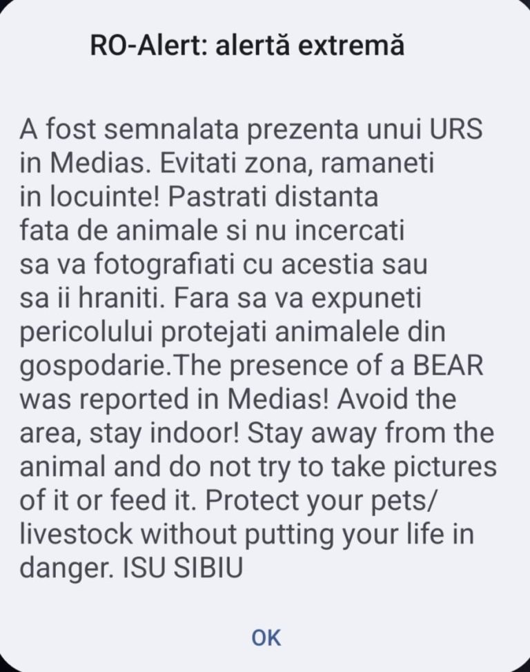 ULTIMA ORĂ: Un urs a ajuns în Mediaș. A fost emis mesaj RO-ALERT