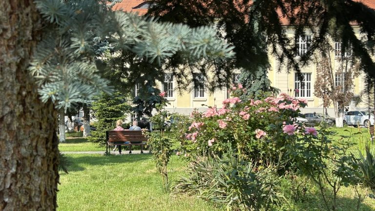 Licitație de 7,89 milioane lei pentru dotarea Ambulatoriului de la Spitalul Județean