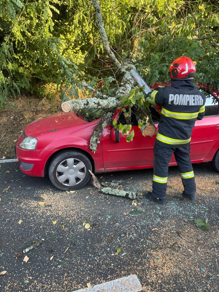 FOTO: Copac căzut peste un autoturism în zona Hula Bradului