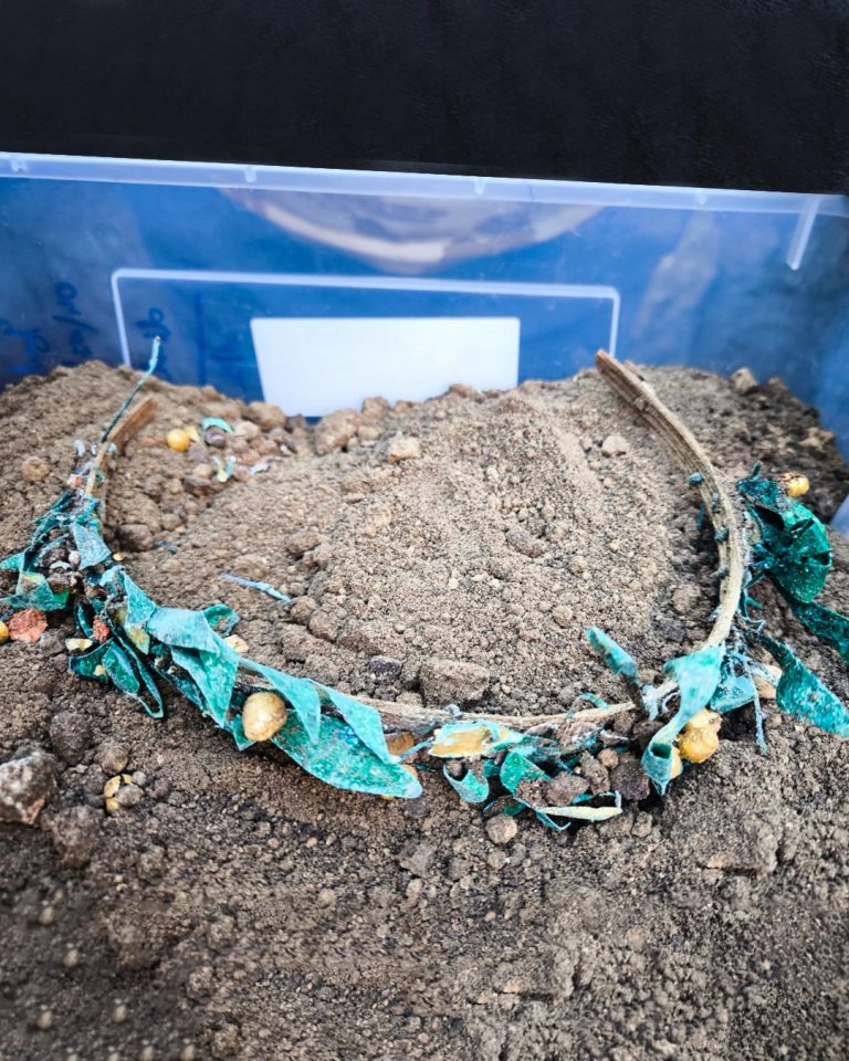 FOTO: Descoperiri arheologice de excepție, unice pentru România