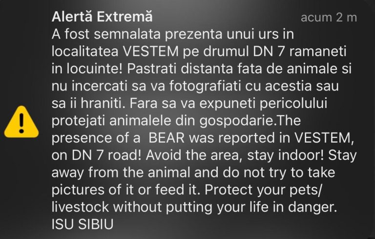 ULTIMA ORĂ: ISU Sibiu a anunțat prezența unui urs în Veștem. „Rămâneți în locuințe”