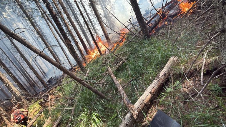 FOTO: Două hectare de pădure și vegetație uscată au ars în județul Sibiu