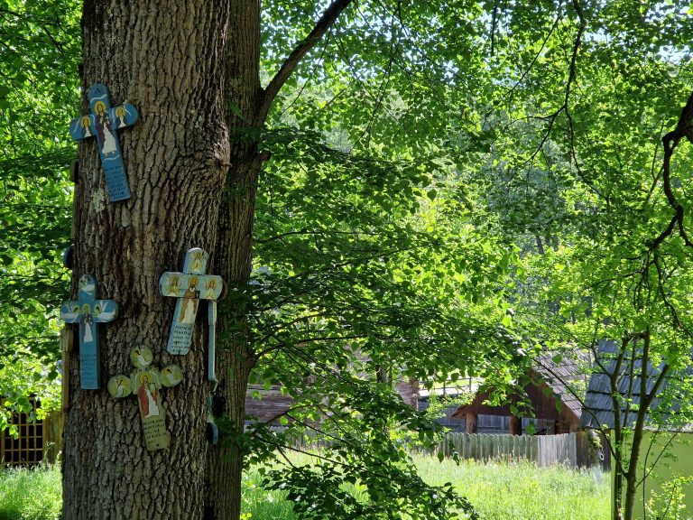 „Poame și icoane din livada cu oameni” – un mod nou de a face cunoștință cu satul oltenesc din Dumbrava Sibiului