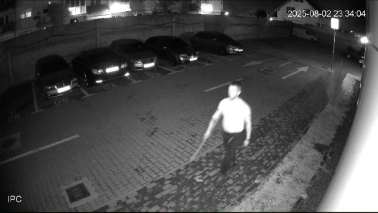 VIDEO: Sibian surprins în timp ce bate un cățel. „Nu vă puteți închipui ce sunete scotea cățelul”