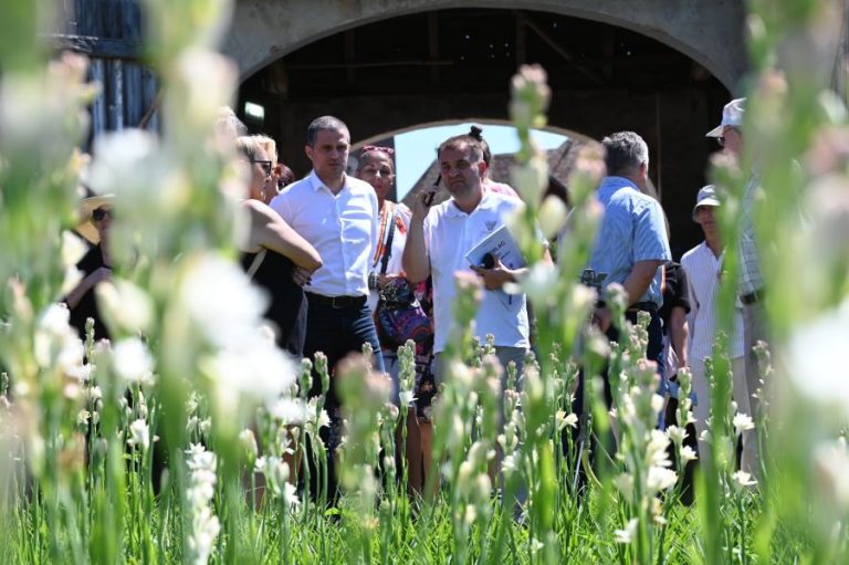 Hoghilag – parfum de tuberoze și ecoul istoriei din Biserica Evanghelică Fortificată