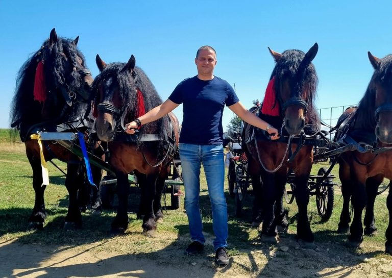 Cai, tradiție și suflet ardelenesc – Orlatul, locul unde trecutul întâlnește viitorul. De la târgul copilăriei, la Expoziția de Cai de astăzi!