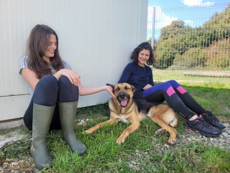 Ziua Internațională a Câinelui. De la grijă, la devotament