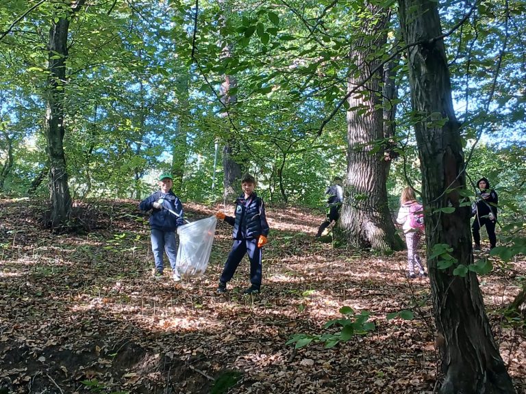 FOTO/VIDEO: Patru tone de deșeuri colectate la „Let’s Do It, Mediaș!”