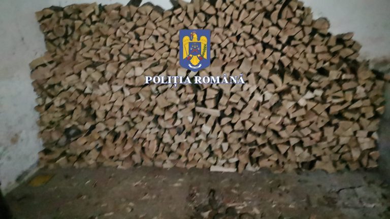 FOTO/VIDEO: Cum funcționa mafia lemnului în nordul județului Sibiu. Peste 200 de polițiști au participat la percheziții