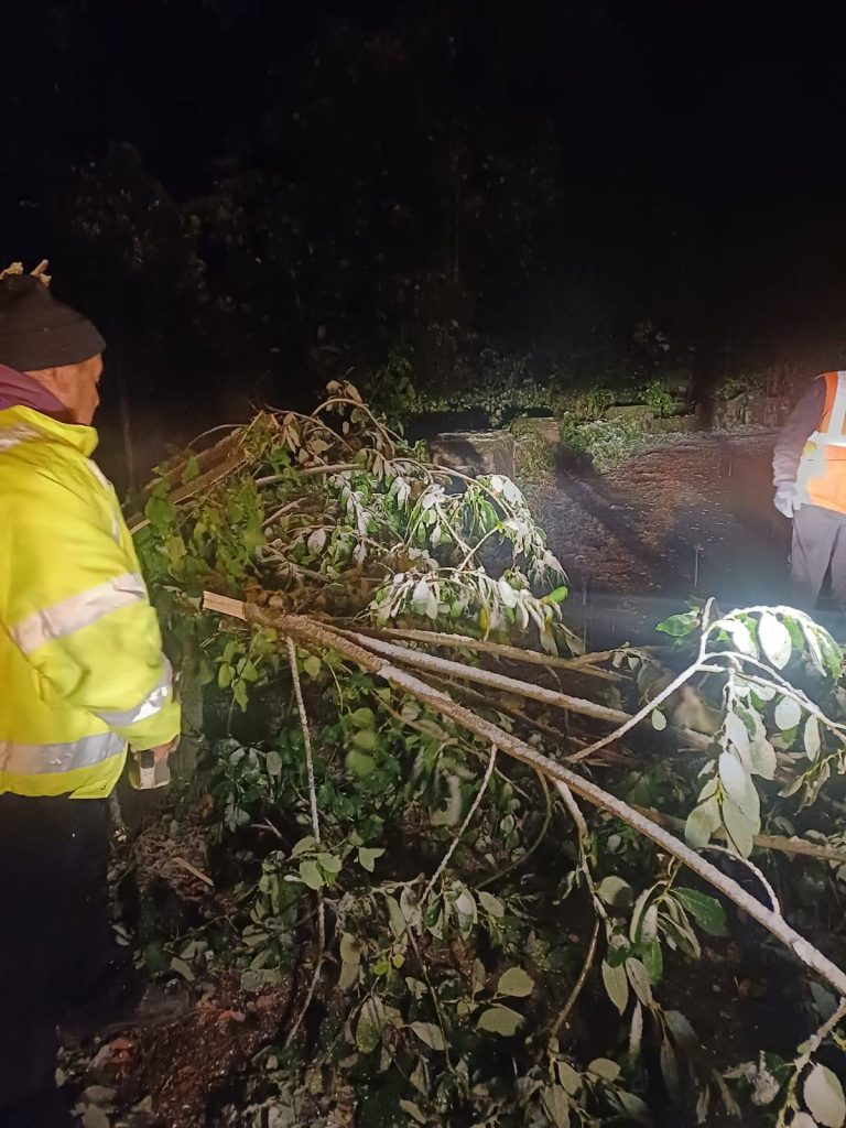 FOTO: Drumul spre Păltiniș a fost redeschis. Mai mulți copaci căzuți pe carosabil au fost îndepărtați