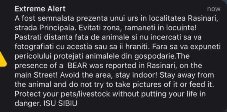 ULTIMA ORĂ: Urs în Rășinari. A fost transmis mesaj RO-ALERT