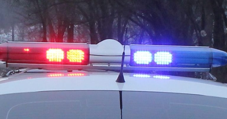 Urmărire în Avrig: un tânăr fără permis nu a oprit la semnalele polițiștilor, s-a dat jos și s-a ascuns în vegetație