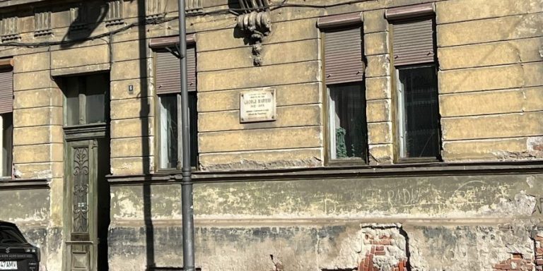 Andrei Șaguna, nr. 6: „Renașterea” culturală a românilor și revitalizarea patrimoniului