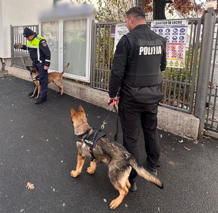 ULTIMA ORĂ/FOTO: Polițiștii au verificat două școli din Sibiu. A participat și serviciul criminalistic cu câinii de serviciu