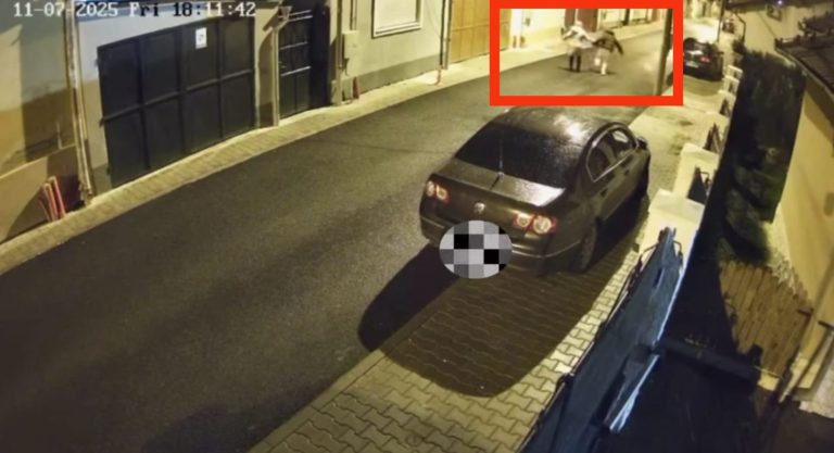 FOTO/VIDEO: Tâlhărie surprinsă în direct. O medieșeancă este trântită la pământ, iar agresorul îi fură geanta