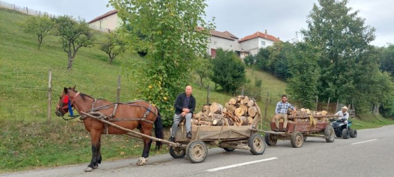 Când vine ploaia peste ciobanii din Jina