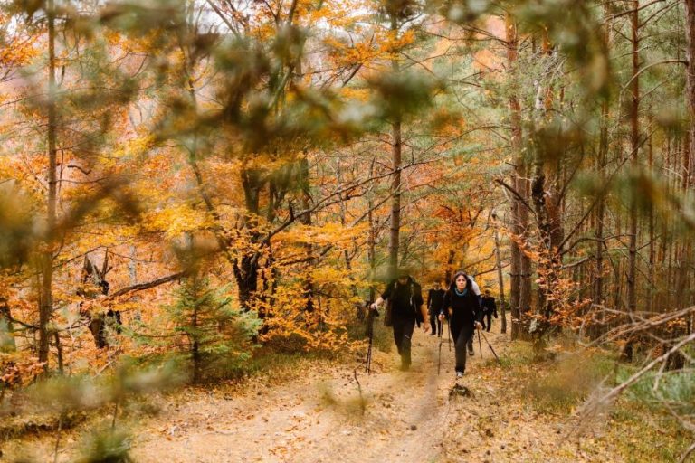 Drumeție spre „labirintul sufletelor” din Ațel