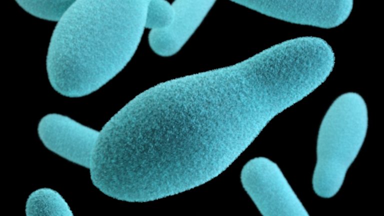 ULTIMA ORĂ: Două cazuri de botulism în România
