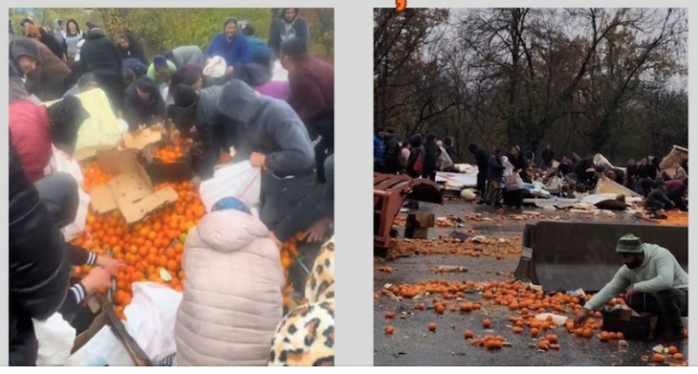 VIDEO: „Bătaie” pe portocalele răsturnate dintr-un TIR chiar de Ziua Națională