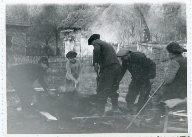 Tăiatul porcului și prepararea cârnaților, tradiții readuse la viață în Muzeul Astra