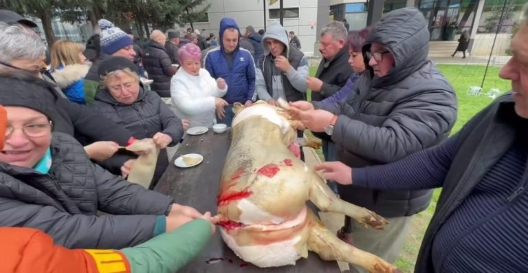 FOTO/VIDEO: Așa arată foametea? Turiștii au „devorat” un porc întreg rupând bucăți de carne din el