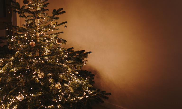 Cât ne costă bradul anul acesta?