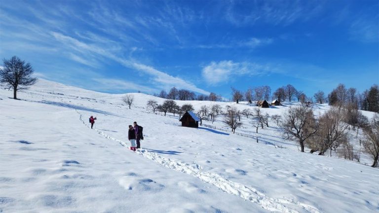 Drumeție pe urmele vechilor păstori din Rășinari. Aveau livadă în vârf de munte