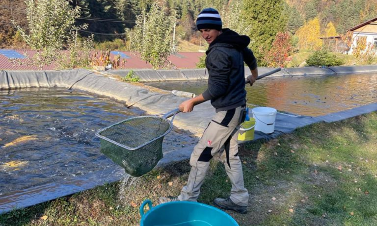 Argintul Viu din ape de munte: Povestea Păstrăvăriilor din Sibiu și secretul de la „Gura Râului Cindrel”