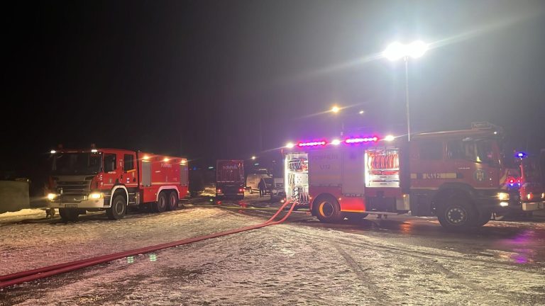 ULTIMA ORĂ/FORO: Incendiu devastator în Bradu. Două anexe gospodărești au fost distruse