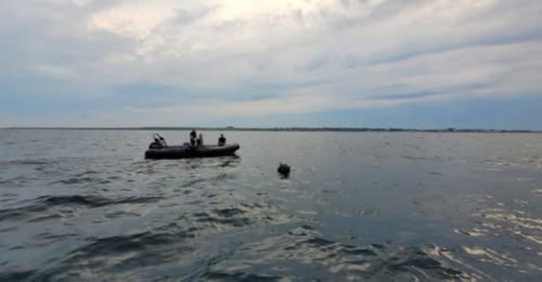 Mină marină descoperită pe plaja Midia. Intervin scafandrii militari