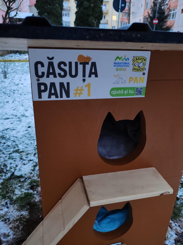 FOTO: Se întâmplă în Sibiu. Asociația PAN a amplasat prima căsuță pentru pisicile comunitare