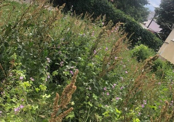 O sibiancă va plăti impozit pe teren majorat cu 500%