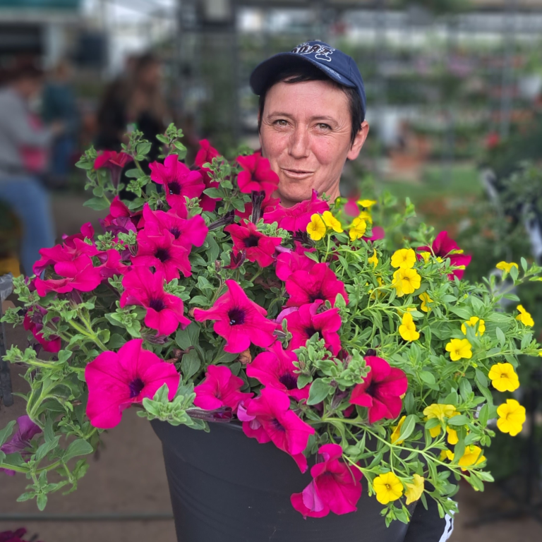 Poplaca, noua destinație preferată a sibienilor: Cum a atras Pepiniera Sibiu un aflux record de 100.000 de vizitatori