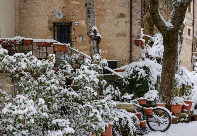 Ministerul Sănătății ne învață cum să ne protejăm de frig: Evitați deplasările în spații deschise, îmbrăcați-vă adecvat și mâncați proteine, fructe și legume