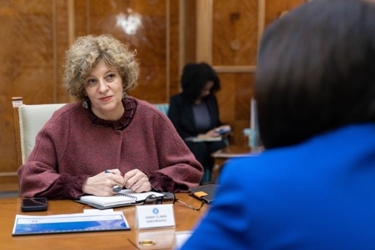 Oana Gheorghiu îndeamnă profesioniștii să se implice în reforma companiilor de stat: „Dacă societatea nu participă, se vor înscrie tot cei din sistem”
