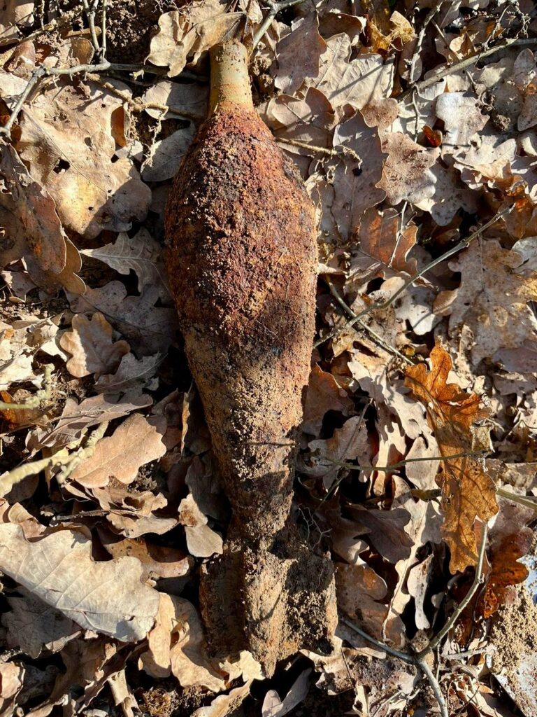FOTO/ULTIMA ORĂ: Bombă neexplodată descoperită în Pădurea Șopa