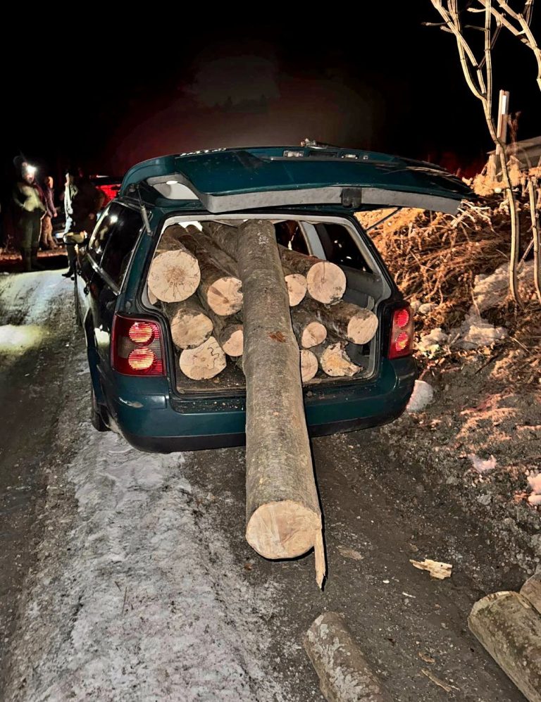 FOTO: Câți bușteni încap într-un Volkswagen Passat? Polițiștii au fost uimiți