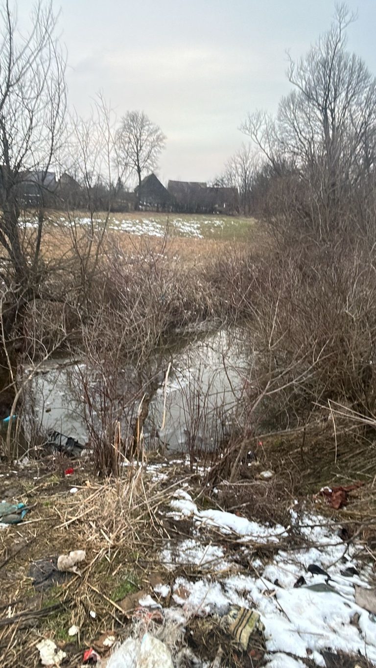 FOTO: Minoră de 6 ani și fratele ei de 9 ani, găsiți ÎNECAȚI