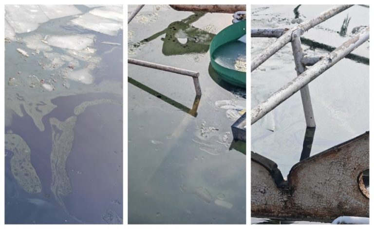 Alertă! Poluare cu produse petroliere pe Dunăre, în zona Giurgiu. Autoritățile au activat planul de intervenție