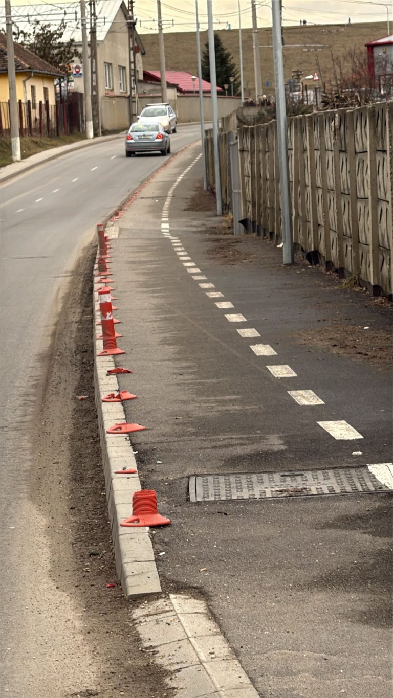 FOTO: Când nesimțirea e un mod de viață. Sute de stâlpi au fost distruși de vandali