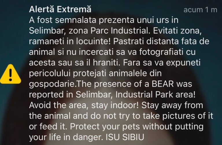 ALERTĂ: Urs în localitatea Șelimbăr. A fost transmis mesaj RO-ALERT